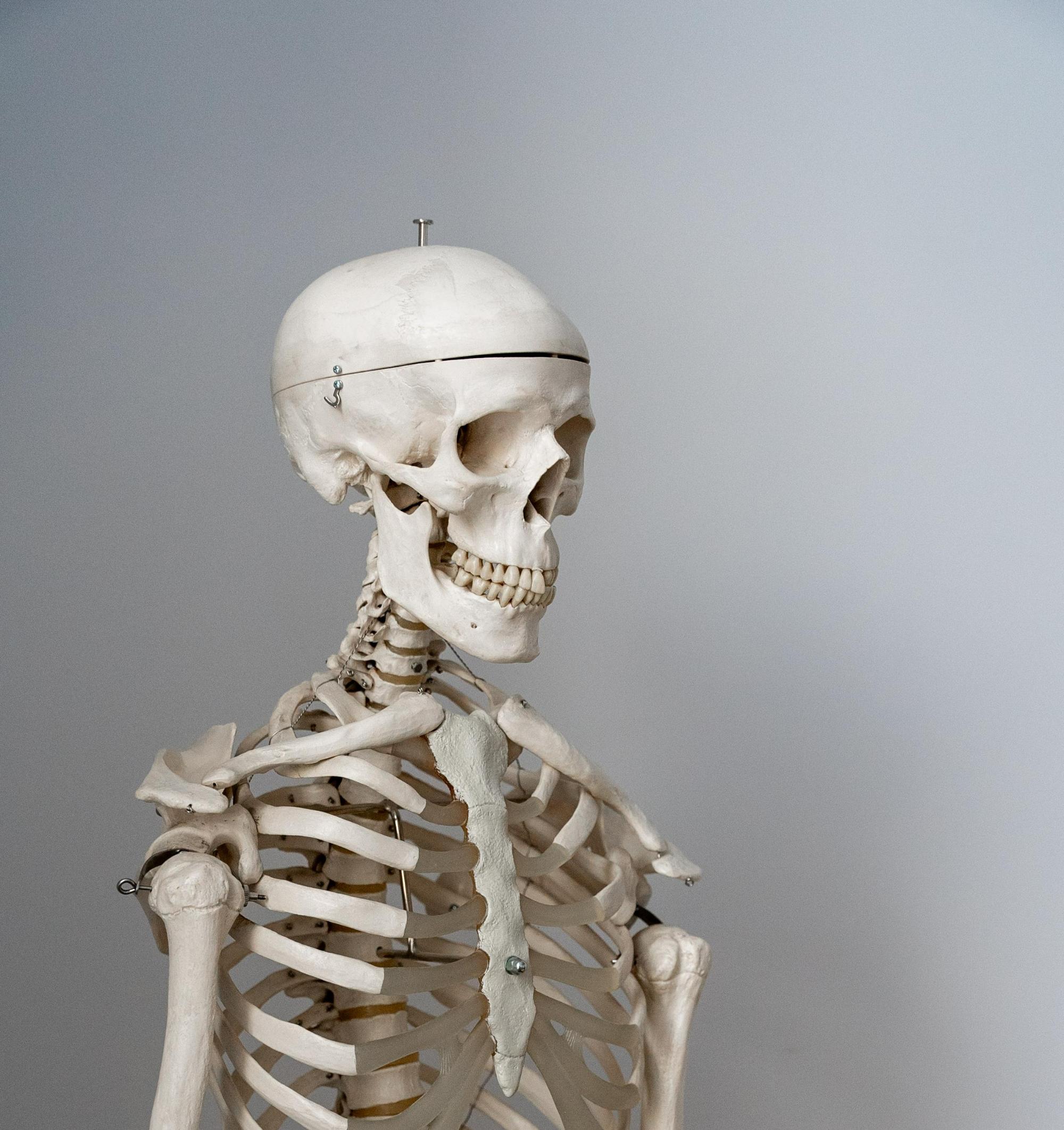 Ревматология (ересектер, балалар)