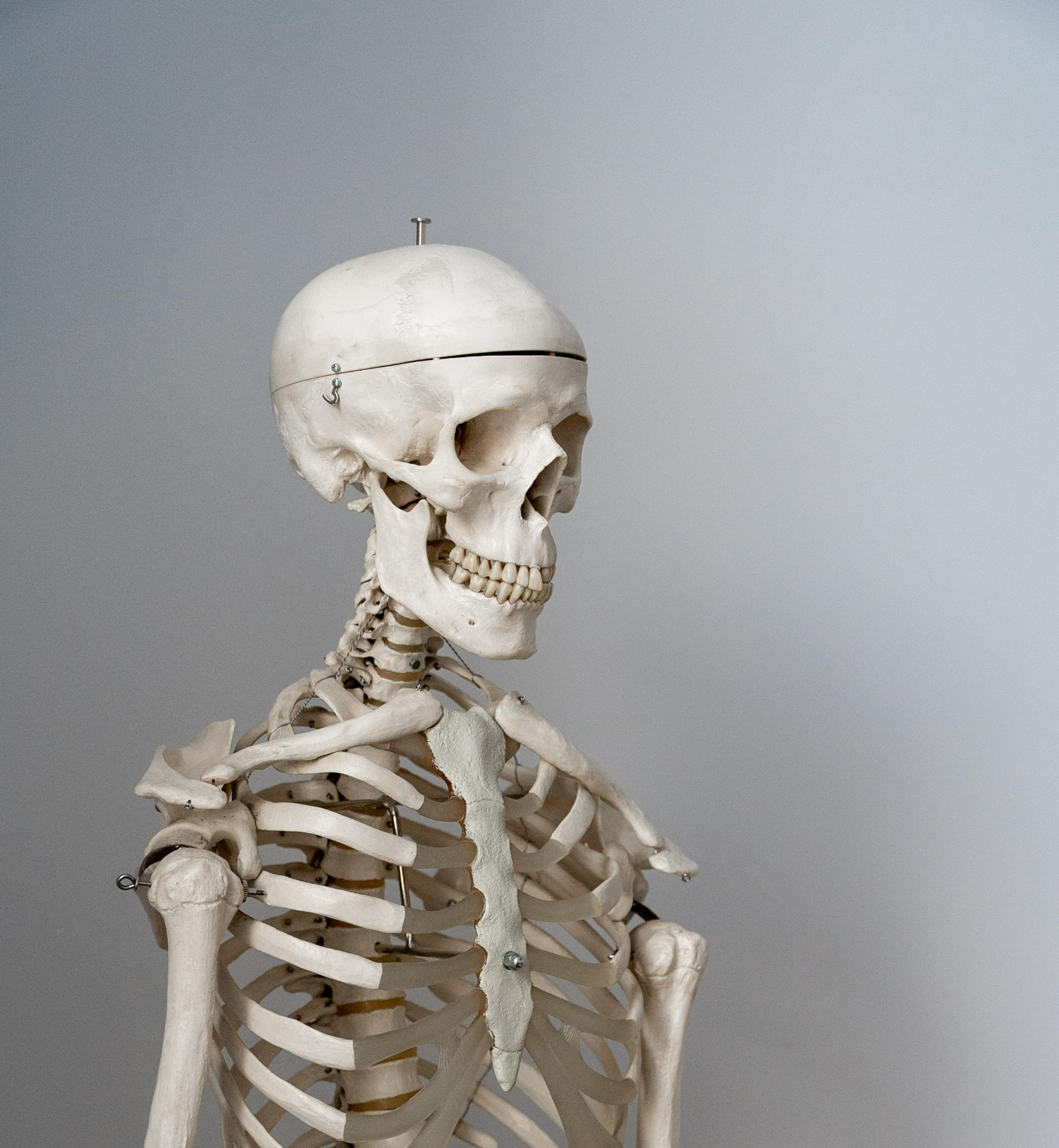 Rheumatology (adult, children's)