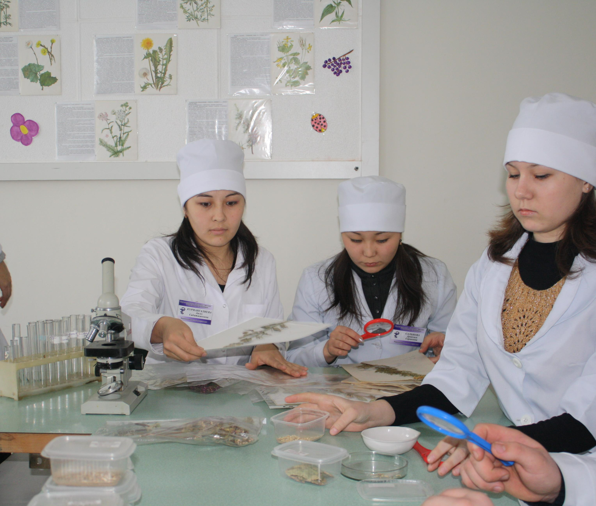 Pharmacy (specialized area)