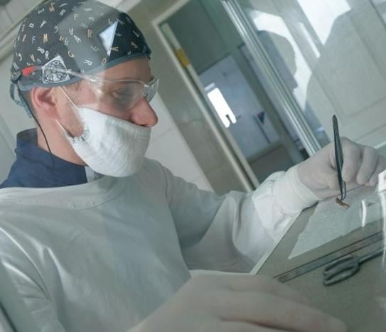 Патологическая анатомия