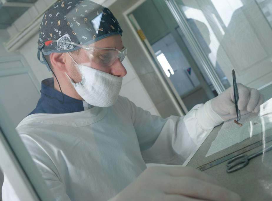 Патологическая анатомия