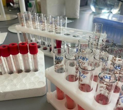 Biomedicine (scientific and educational field)