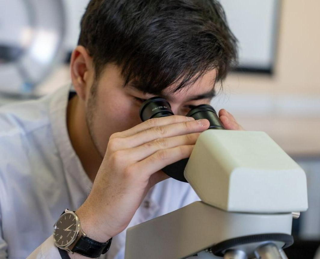 Биоинженерия (научно-педагогическое направление)