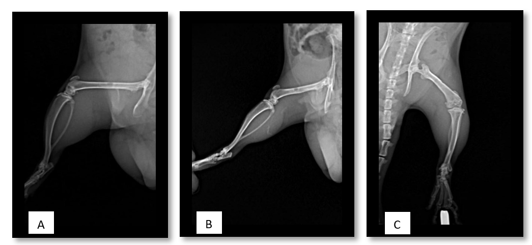 Написать в Телеграм